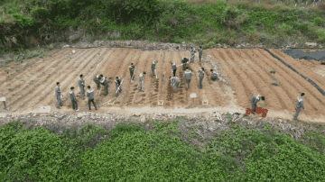 微信图片_20220430165918.gif