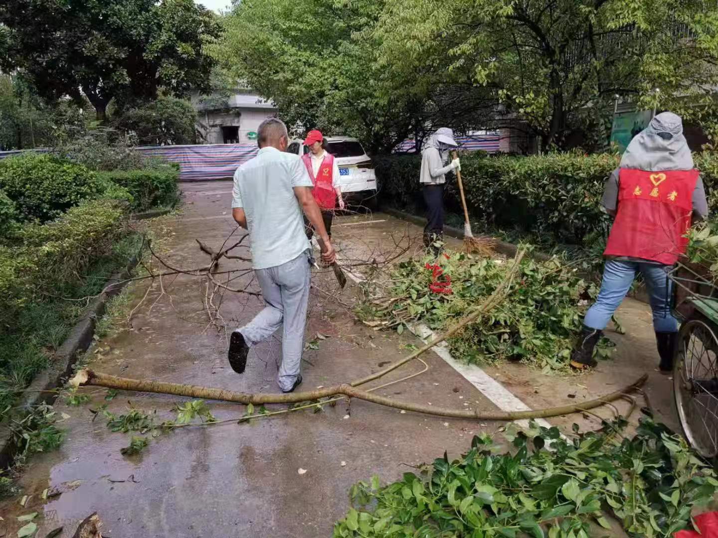 城东街道3.jpg