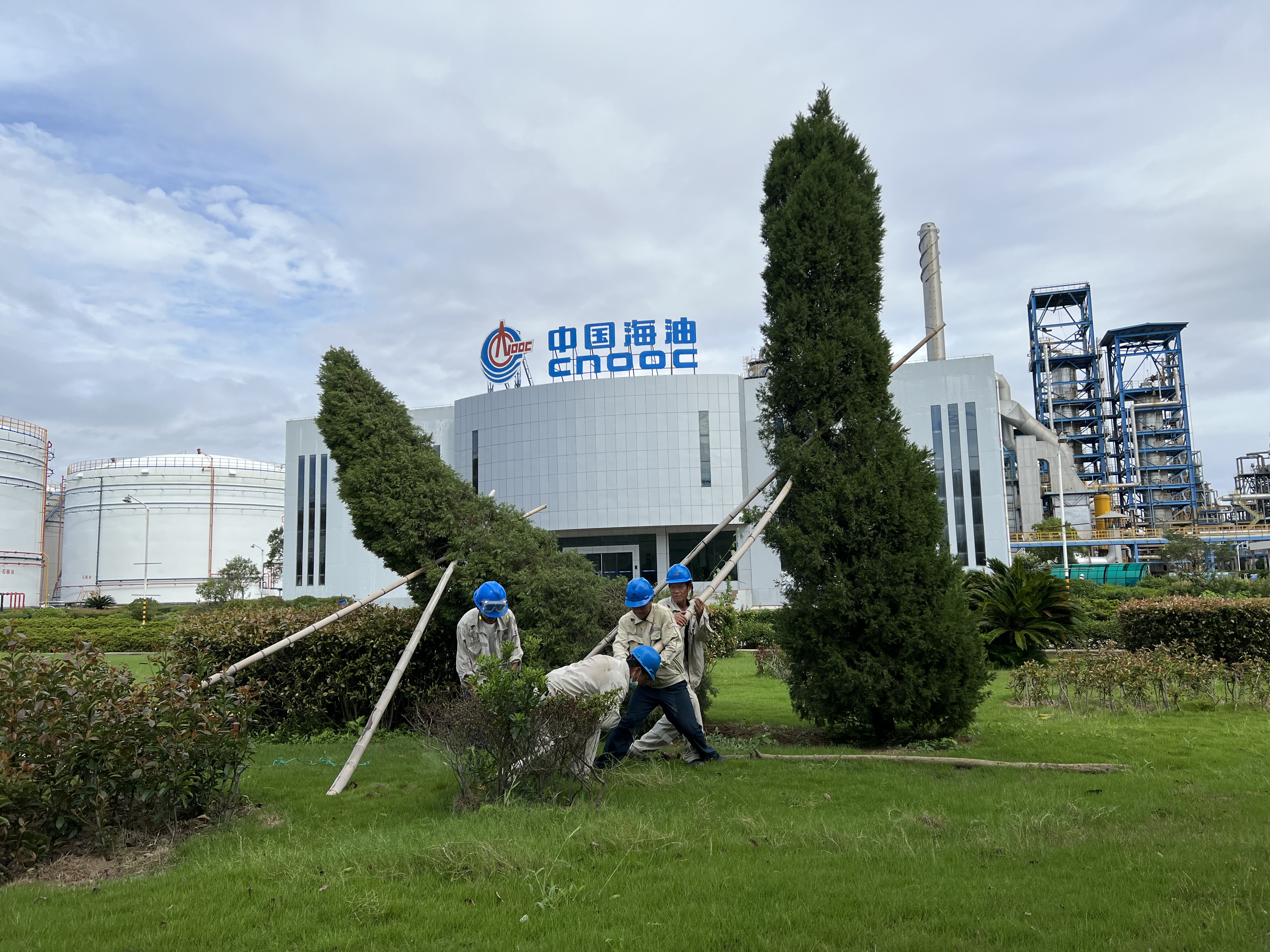 中海油1.jpg