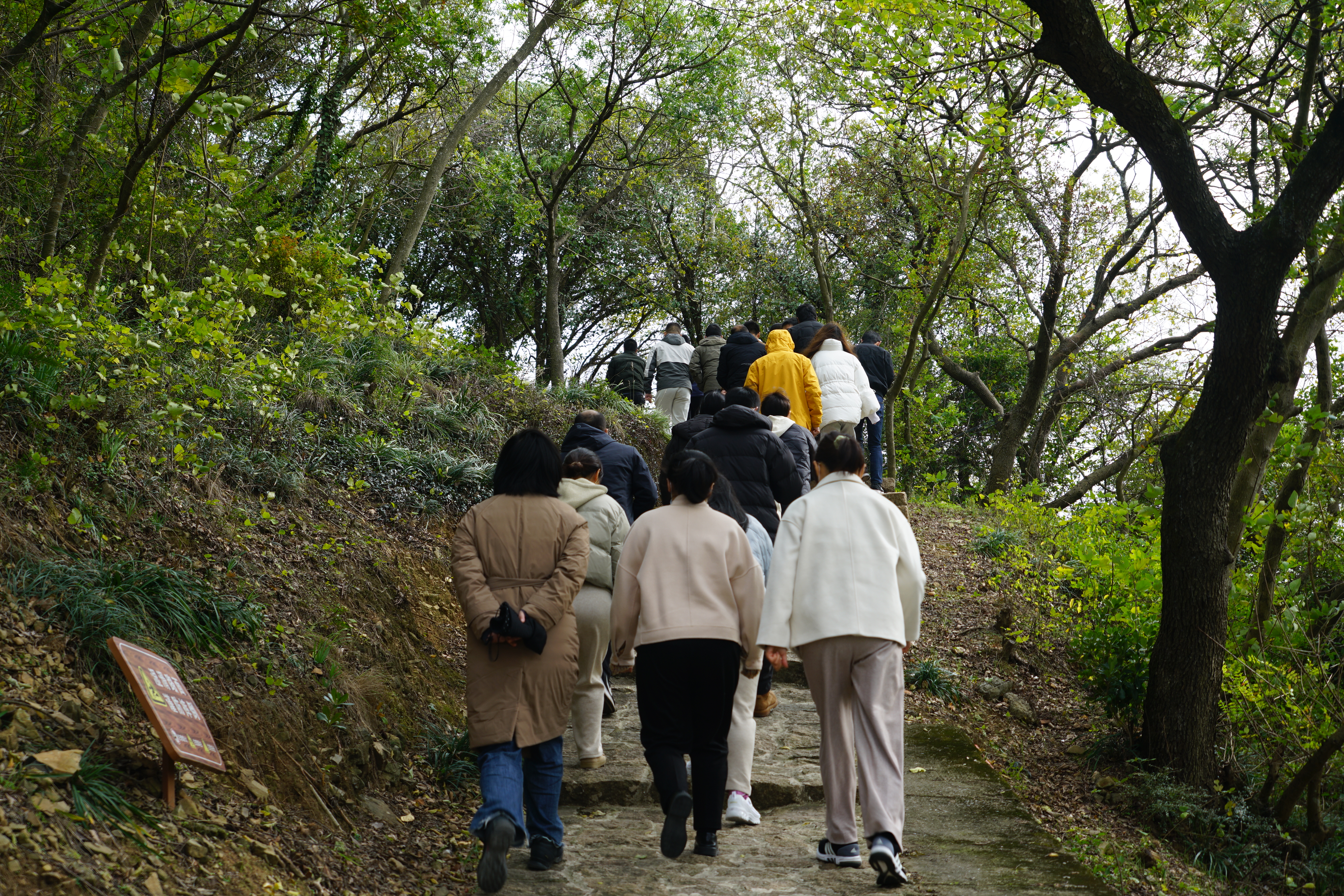 DSC03414.JPG